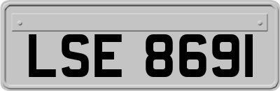 LSE8691