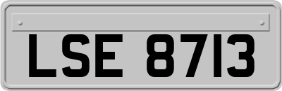 LSE8713