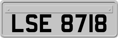 LSE8718