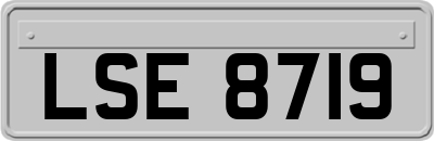 LSE8719