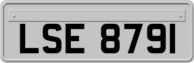 LSE8791