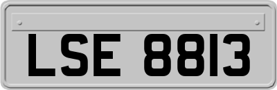 LSE8813