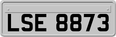 LSE8873