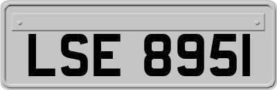 LSE8951