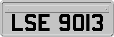 LSE9013