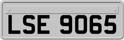 LSE9065