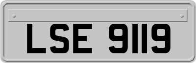 LSE9119