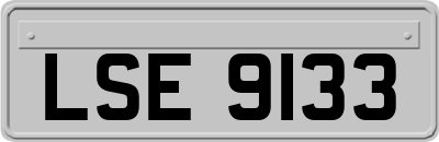 LSE9133