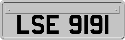 LSE9191