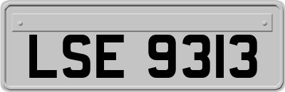 LSE9313
