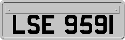 LSE9591