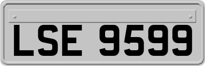 LSE9599