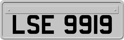 LSE9919
