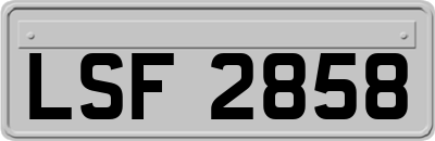 LSF2858