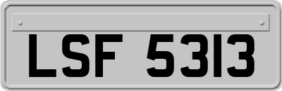 LSF5313
