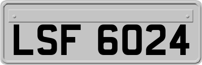 LSF6024