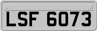 LSF6073
