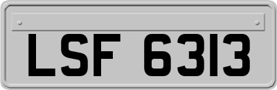 LSF6313