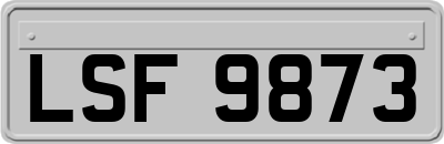 LSF9873