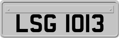 LSG1013