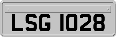 LSG1028