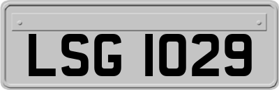 LSG1029