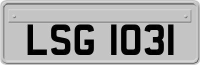 LSG1031