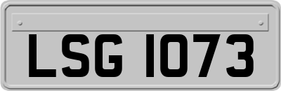 LSG1073