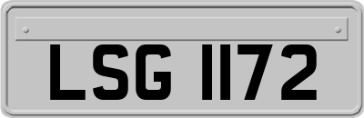 LSG1172
