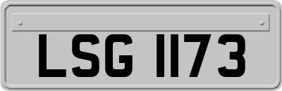LSG1173