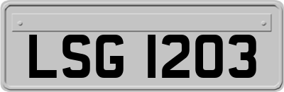 LSG1203