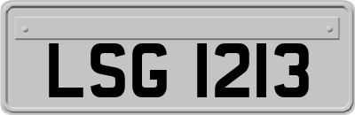 LSG1213