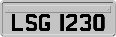 LSG1230
