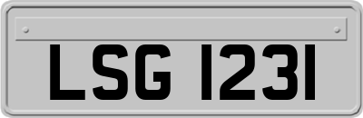 LSG1231