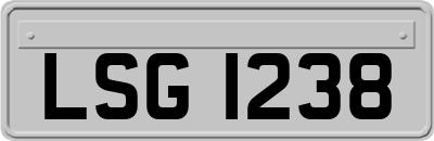 LSG1238