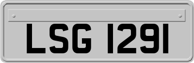 LSG1291