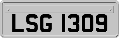 LSG1309