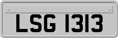 LSG1313