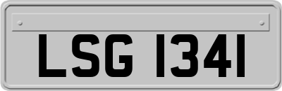 LSG1341