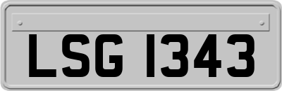 LSG1343