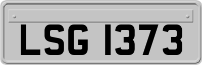 LSG1373