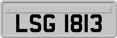 LSG1813