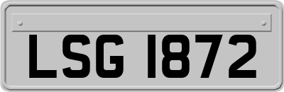 LSG1872