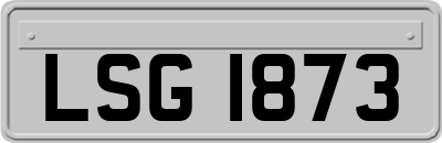LSG1873