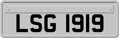 LSG1919