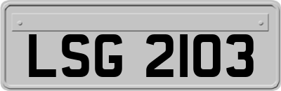 LSG2103