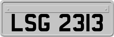 LSG2313