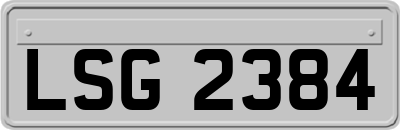LSG2384