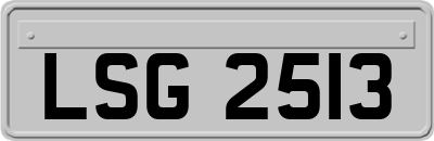 LSG2513