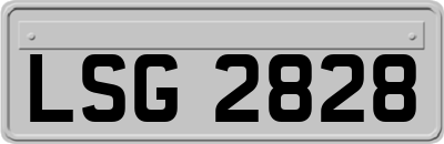 LSG2828